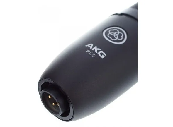 akg-p120_5654b1e7cd913.webp