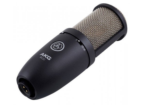 akg-p220_5654aed7700ea.jpg