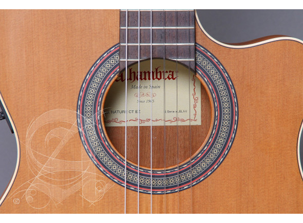 Alhambra Z-NATURE CT EZ incl. Gig Bag 