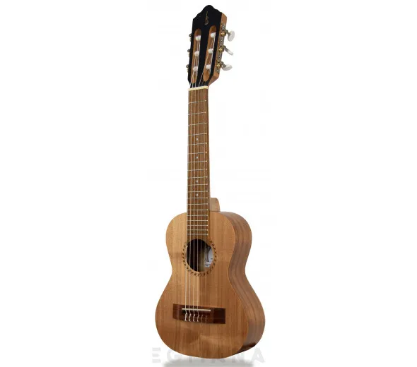 apc-guitalele-gs-simples_603781f01e0b0.webp