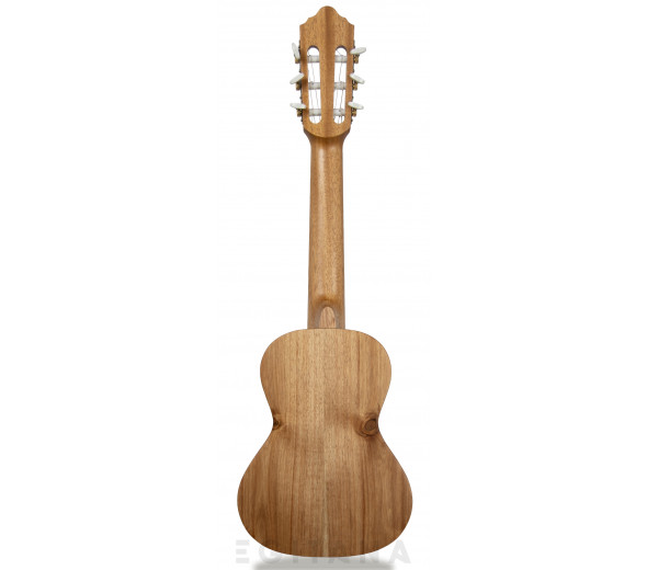 apc-guitalele-gs-simples_603781f1c8329.jpg