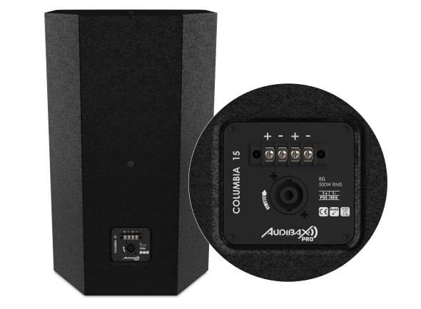 audibax-pro-columbia-15_69f0b85c41fec.jpg