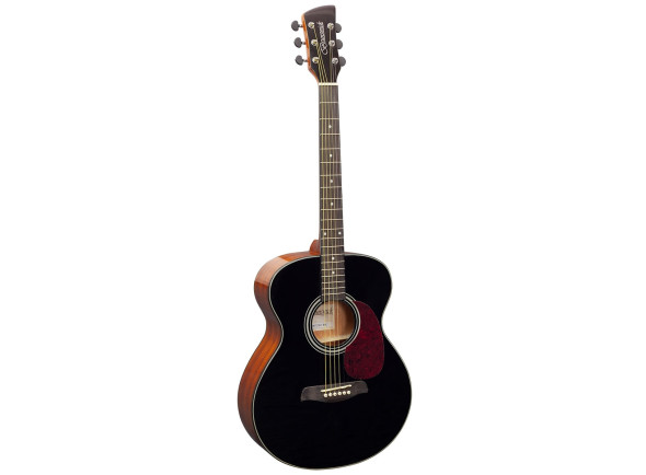 Guitarras Acústicas Brunswick