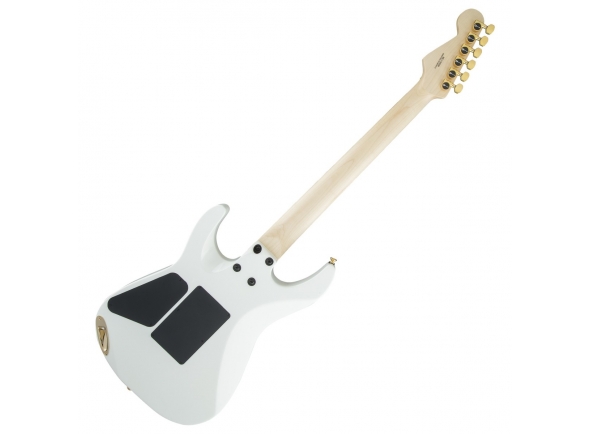 charvel-pro-mod-dk24-hh-fr-mpl-sw_5cdae538d0d26.jpg