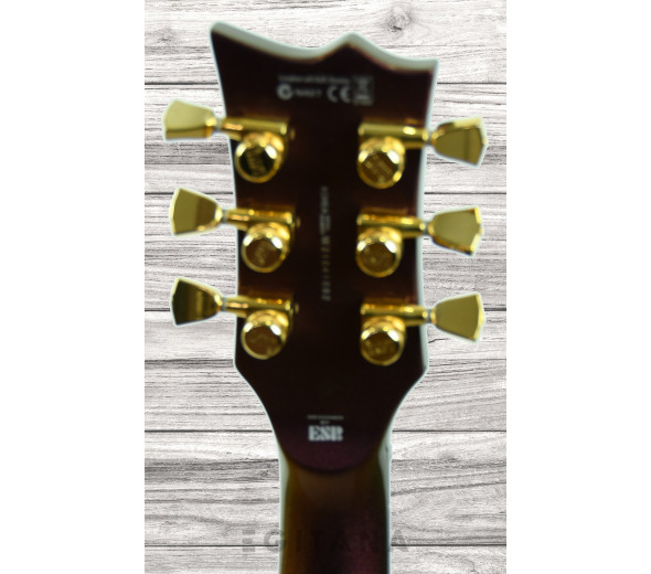 esp-ltd-ec-1000-gold-andromeda_6141d2d13bd53.jpg