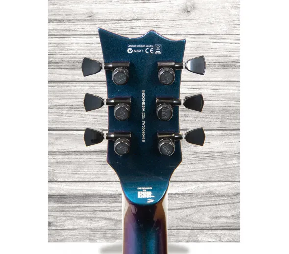 esp-ltd-ec-1000-vland_60929ff2af548.webp