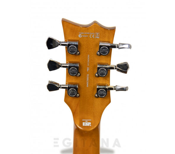 esp-ltd-ec-256-vn_604b3d66b6d62.jpg