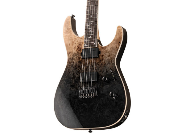 esp-ltd-m-1000ht-bp-black-fade_660a92d5cc650.jpg