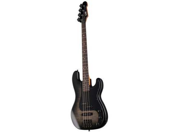 ESP LTD Surveyor-204DX BB