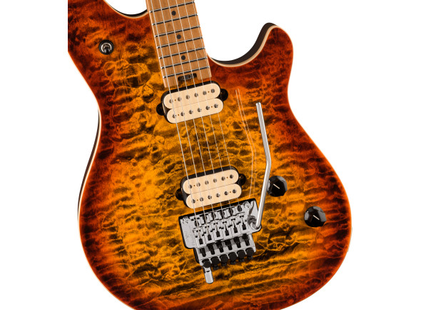 evh-evh-wolfgang-special-qm-tigereyeg_66e3f7f39952e.jpg