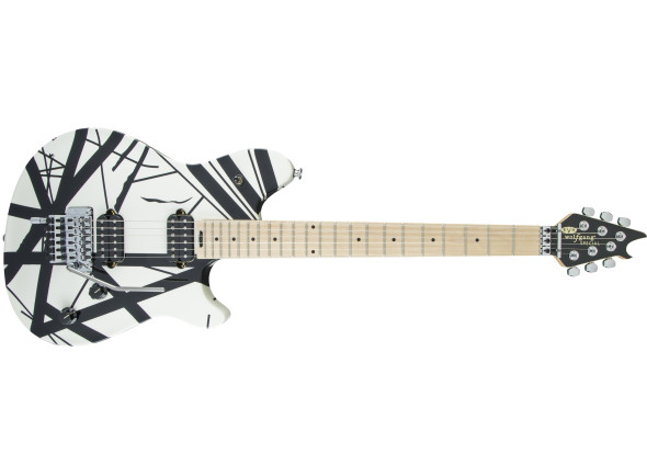 evh-wolfgang-special-b-w_65df22c84aa61.jpg