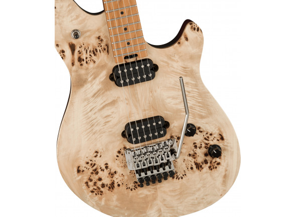 evh-wolfgang-wg-standard-exotic-poplar-burl-baked-maple-fingerboard-natural_63cac3967d591.jpg