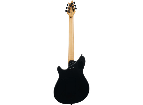 EVH 