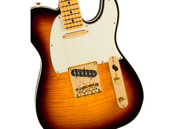 fender-75th-anniversary-american-professional-custom-telecaster-maple-fingerboard-2-color-sunburst_69a0841611332.jpg