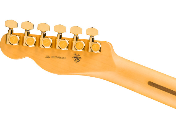 fender-75th-anniversary-american-professional-custom-telecaster-maple-fingerboard-2-color-sunburst_69a0841f183a9.jpg