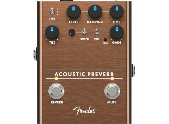 fender-acoustic-preverb_5f8dbe1792192.webp