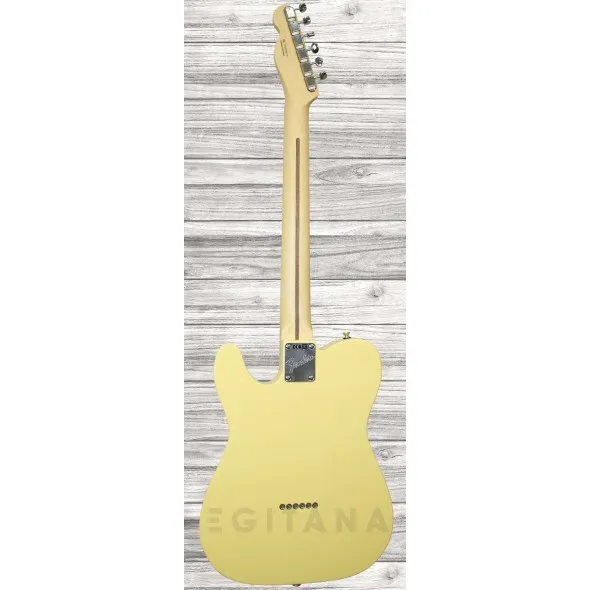 fender-am-perf-tele-mn-vwt_5f0831542e942.webp