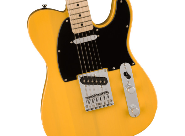 fender-am-pro-ii-tele-mn-btb_65c506fcf0b48.jpg