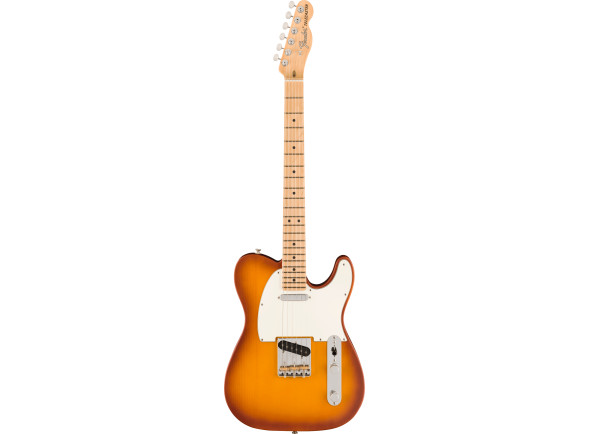 fender-american-performer-telecaster-maple-fingerboard-honey-burst_668e90010e3b3.jpg