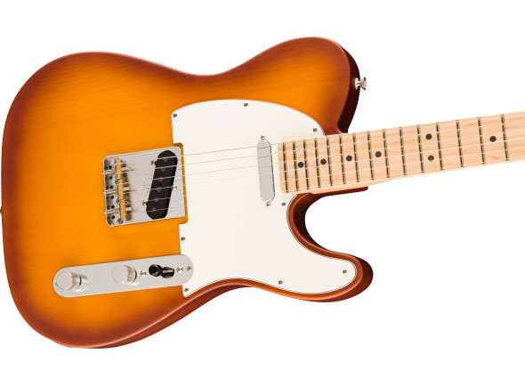 fender-american-performer-telecaster-maple-fingerboard-honey-burst_668e900dadaf2.jpg