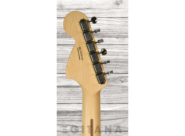 fender-american-performer-walnut-maple-limited-edition_6357bc2f10687.jpg