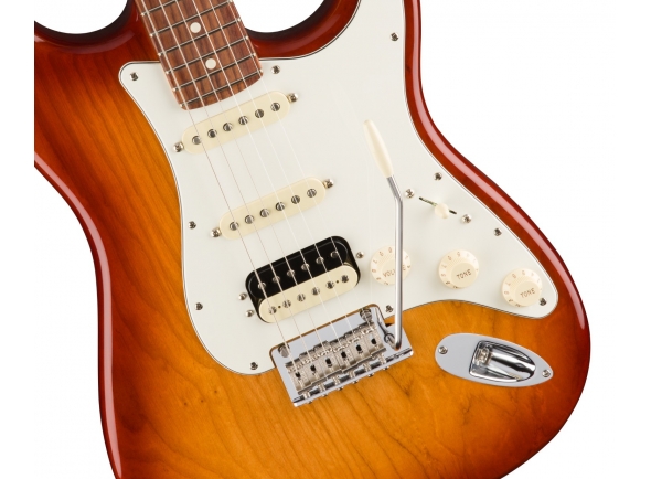 fender-american-pro-strat-ash-hss-mn-ssb_5ebd2989c8c37.jpg