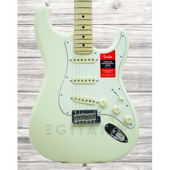 fender-american-pro-stratocaster-mn-olympic-white_5eea17fda4fb5.jpg