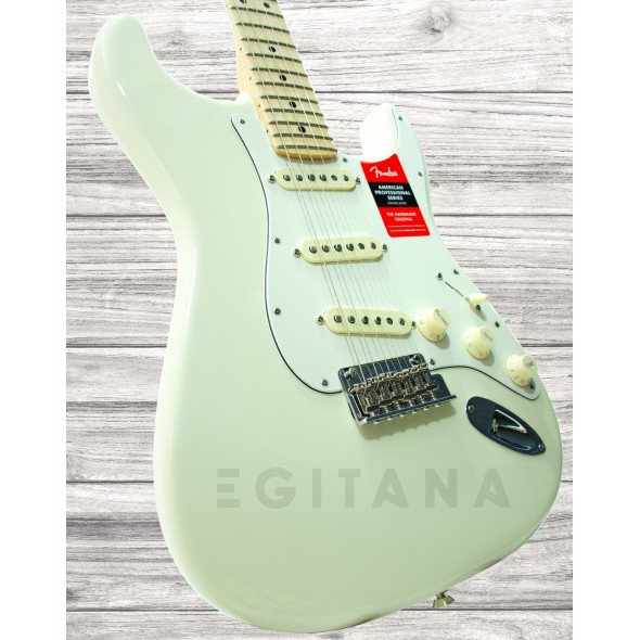 fender-american-pro-stratocaster-mn-olympic-white_5eea17ffb1719.jpg