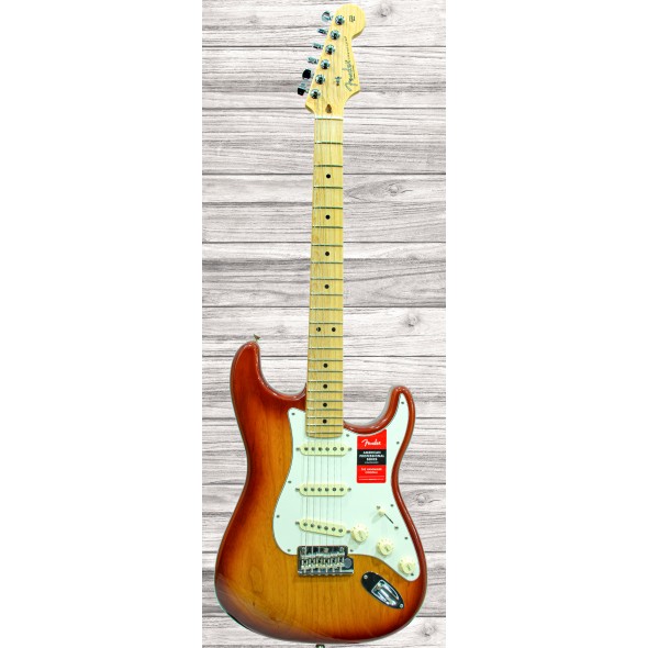 fender-american-pro-stratocaster-mn-sienna-sunburst_5ed8ce93013a9.jpg