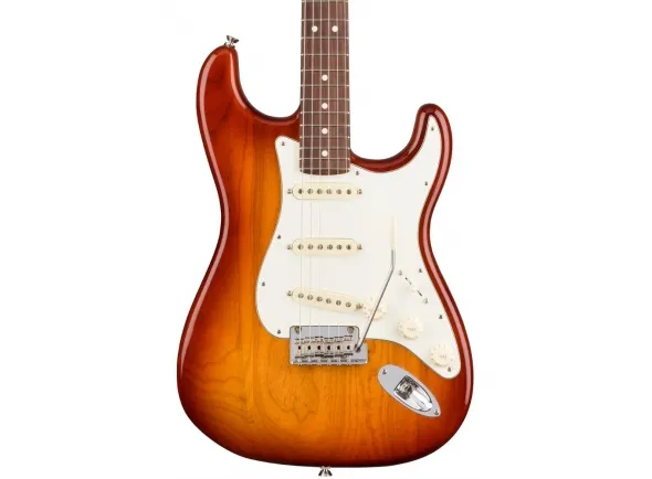 fender-american-pro-stratocaster-rw-ssb-ash_5e30266ec7e30.webp