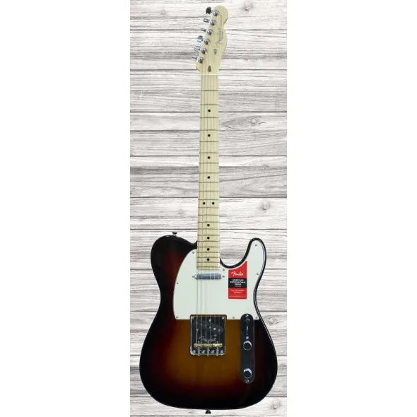 fender-american-pro-telecaster-mn-3-color-sunburst_5e724e21d659f.webp