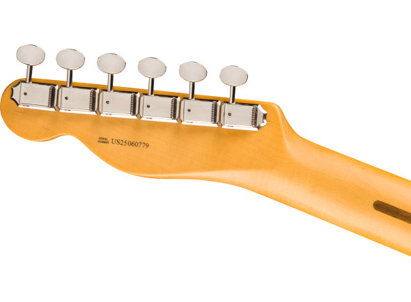 fender-american-professional-classic-telecaster-maple-fingerboard-butterscotch-blonde_68e621660c014.jpg
