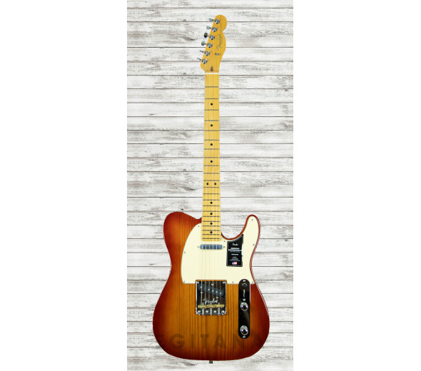 fender-american-professional-ii-telecaster-mn-sienna-sunburst_60f98bf35349f.jpg