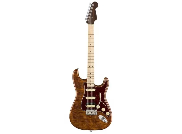 fender-american-rarities-flame-top-stratocaster-_5dc946e9bec1d.webp