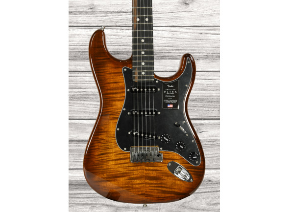 fender-american-ultra-ltd-strat-eby-tgr_65d765224da04.jpg