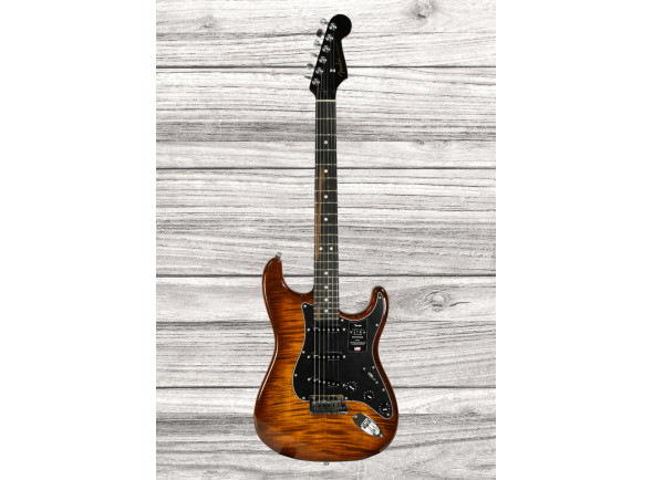 fender-american-ultra-ltd-strat-eby-tgr_65d7652a0eec5.jpg