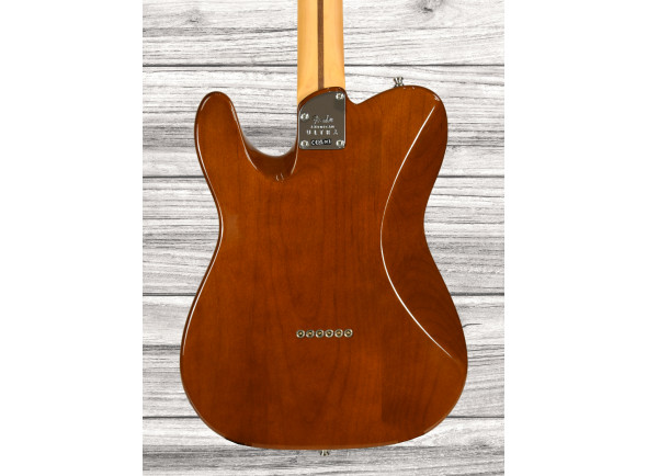 fender-american-ultra-ltd-tele-eby-tgr_65d6278a151ee.jpg