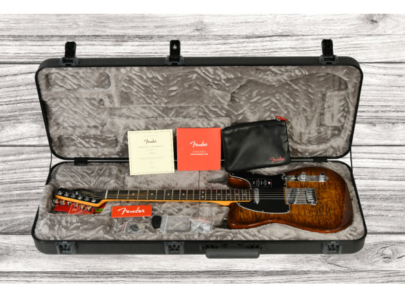 fender-american-ultra-ltd-tele-eby-tgr_65d627d18515c.jpg