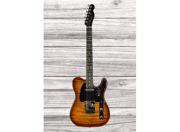 fender-american-ultra-ltd-tele-eby-tgr_65d627dd9167e.jpg