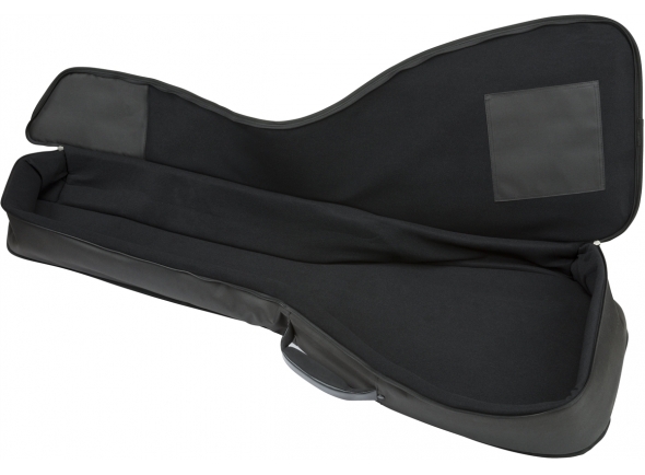 fender-fab-610-long-scale-acoustic-bass-gig-bag_5d5d706502660.jpg