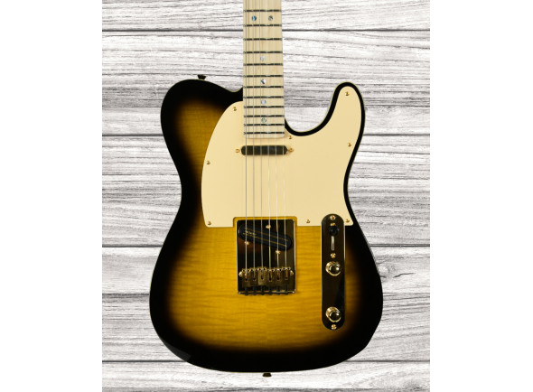 fender-kotzen-telecaster-bsb_65d8adeed09d4.jpg