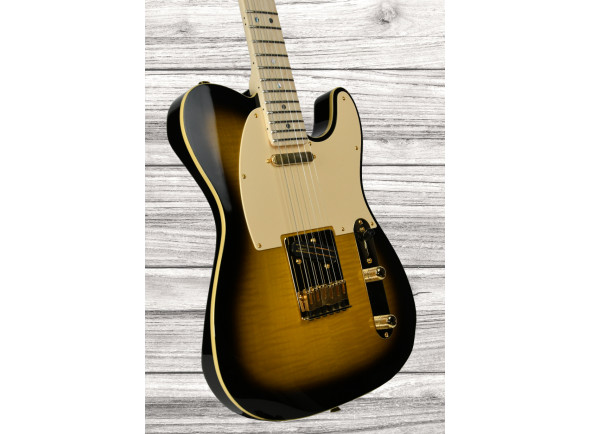 fender-kotzen-telecaster-bsb_65d8adf2c32c0.jpg