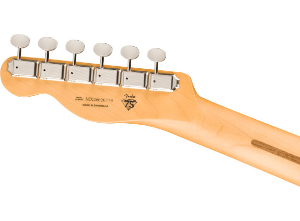 fender-limited-edition-75th-anniversary-player-ii-tele-azg_6a5764578e128.jpg