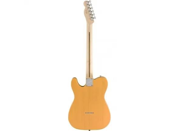 fender-limited-edition-american-performer-telecaster-mn-butterscotch-blonde_5df78d2702bbf.webp