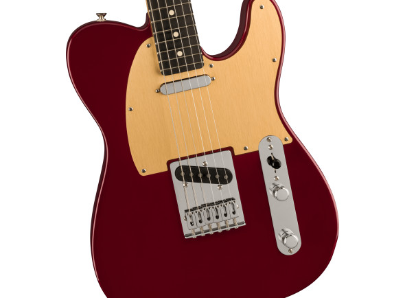 fender-limited-edition-player-ebony-fingerboard-oxblood_65b7e5a9a8bcc.jpg