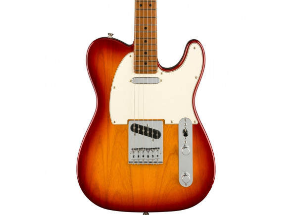 fender-limited-edition-player-sienna-sunburst_619765a316516.jpg