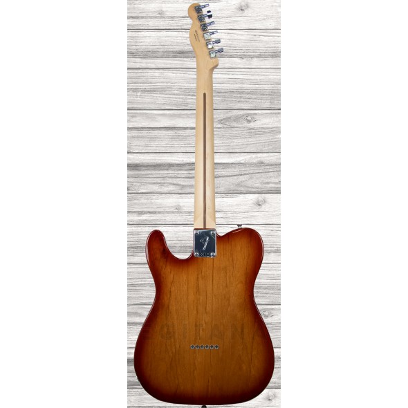 fender-limited-edition-player-telecaster-plus-top-sienna-sunburst-_5f7339542b45b.jpg