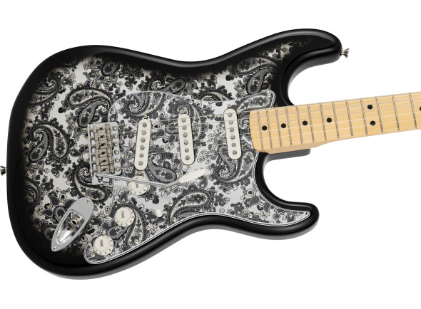 fender-made-in-japan-limited-stratocasterr-black-paisley_6925a32638695.jpg
