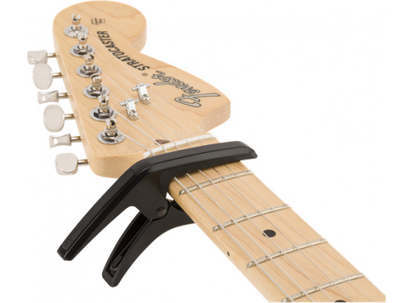 fender-phoenix-capodaster_601437a929629.jpg