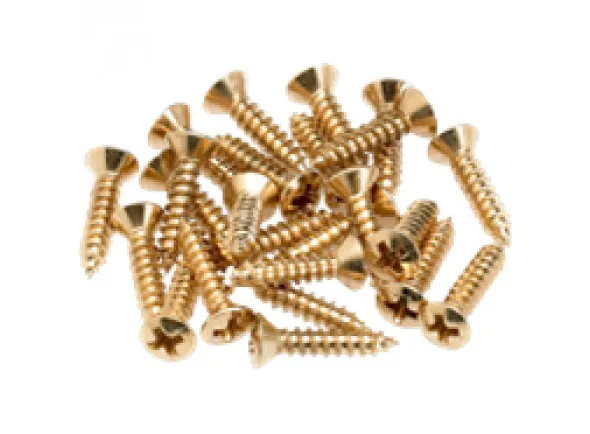 fender-pickguard-screws-gold_604f95ceac464.webp